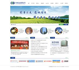 企業展示型響應式網站建設指南 專業設計與高效制作