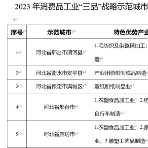 河北五城入選“三品”戰(zhàn)略示范城市，勞動(dòng)保護(hù)用品產(chǎn)業(yè)迎來(lái)發(fā)展新機(jī)遇